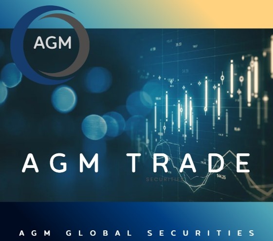 AGM Global Securities